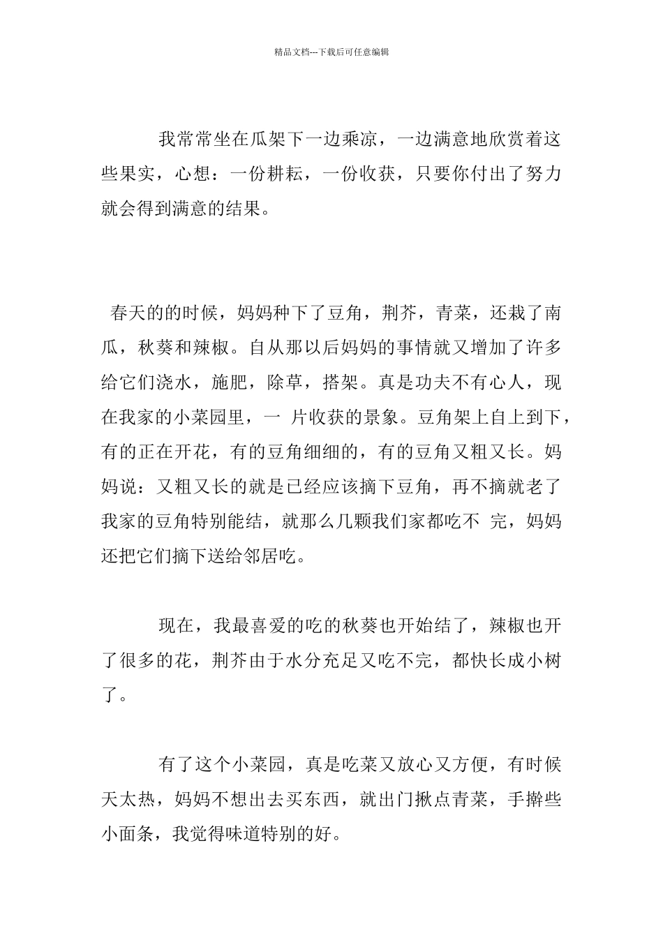 我家的小菜园作文_第2页