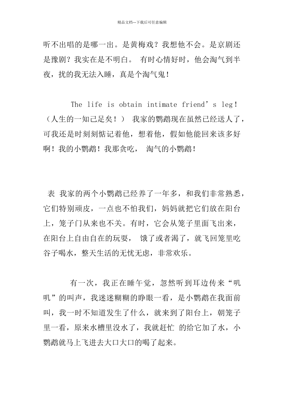 我家的小鹦鹉作文_第2页