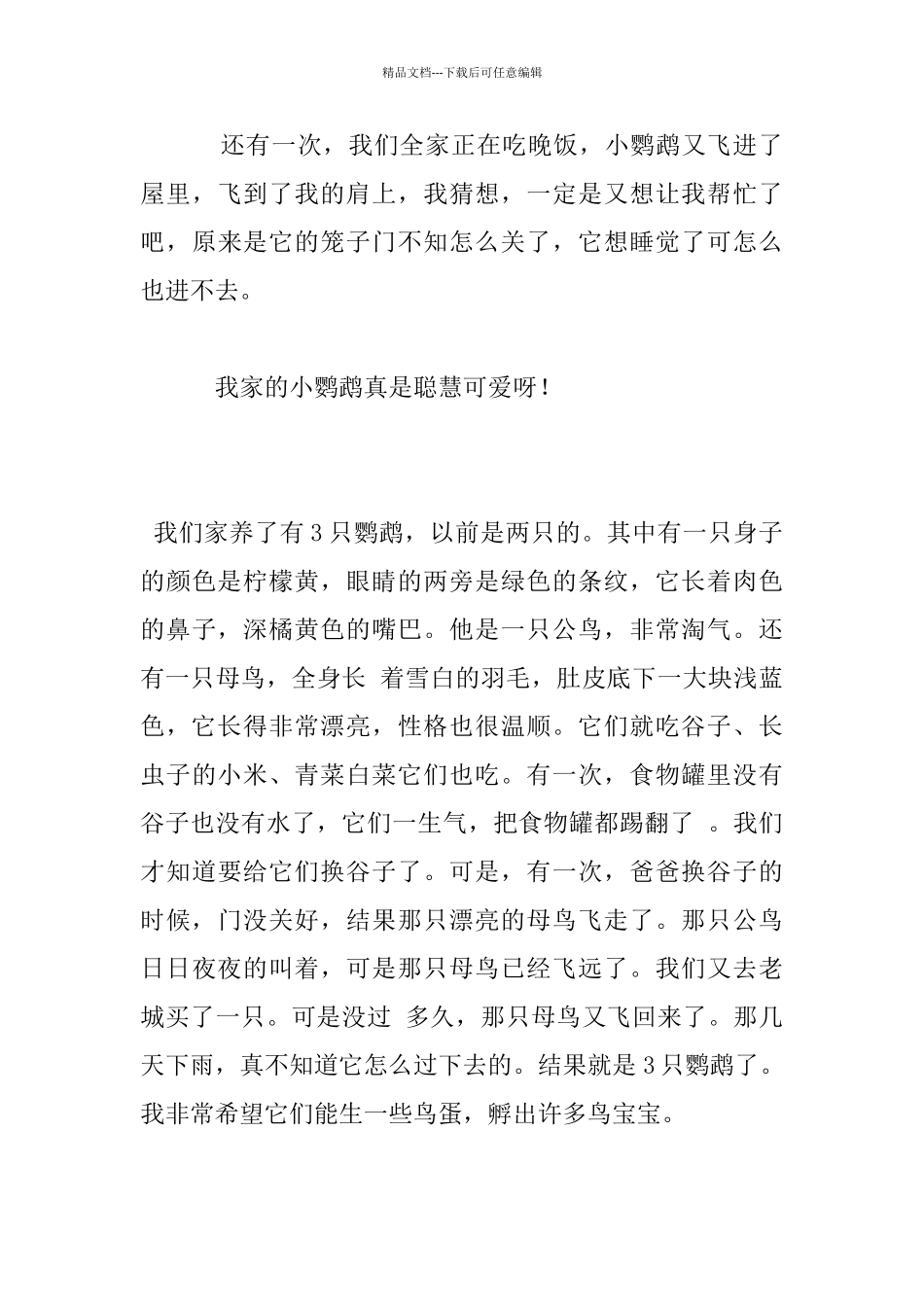 我家的小鹦鹉作文_第3页