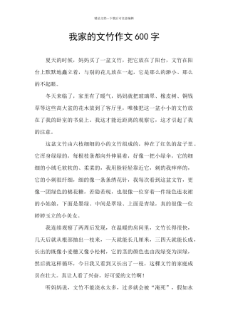 我家的文竹作文600字