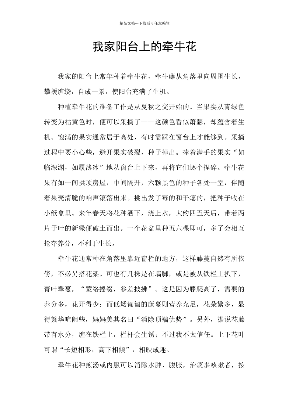 我家阳台上的牵牛花_第1页