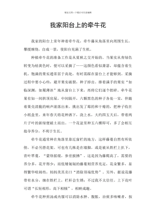 我家阳台上的牵牛花