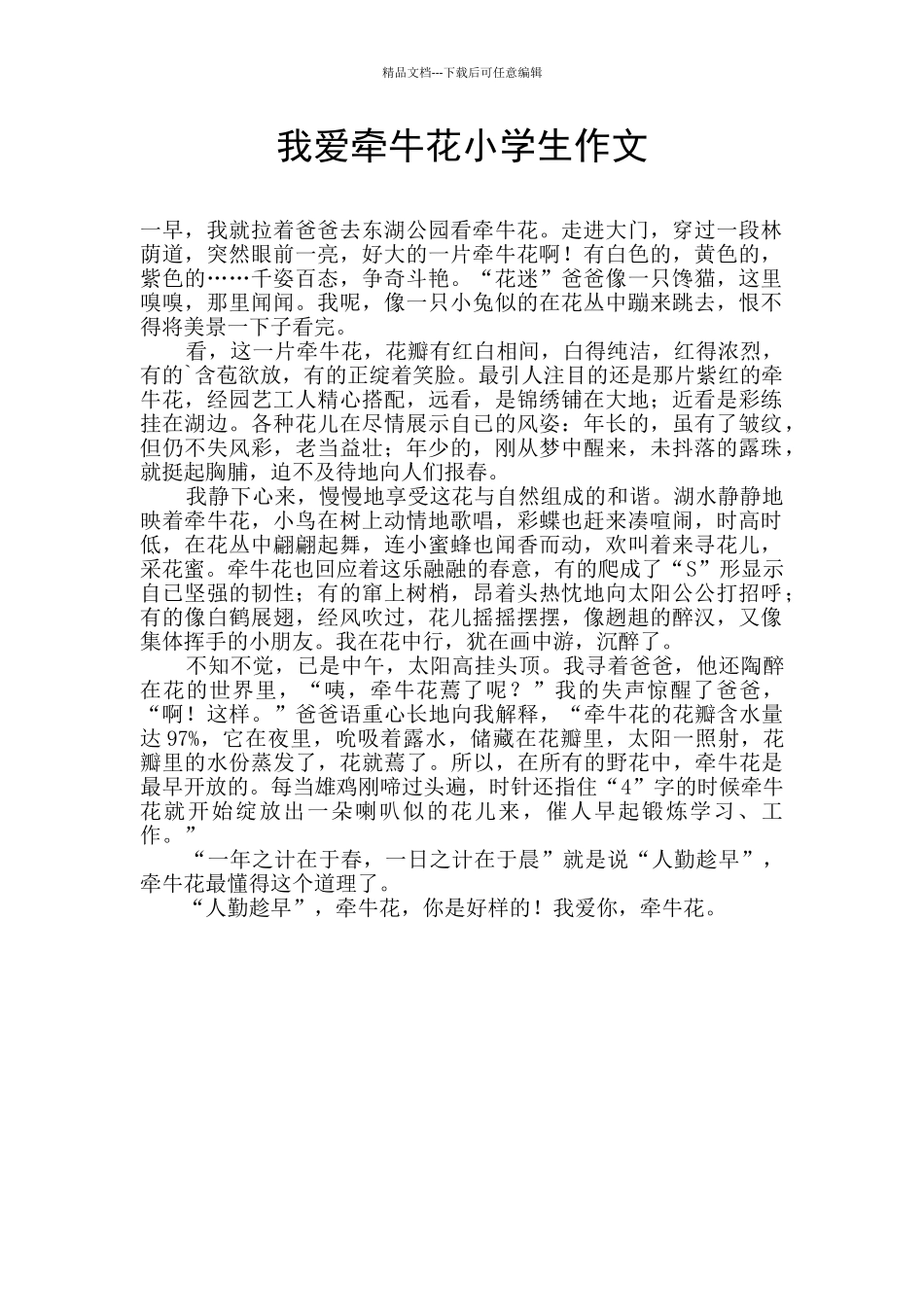 我爱牵牛花小学生作文_第1页