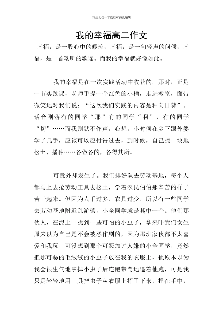 我的幸福高二作文_第1页