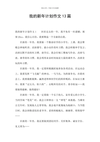 我的新年计划作文13篇