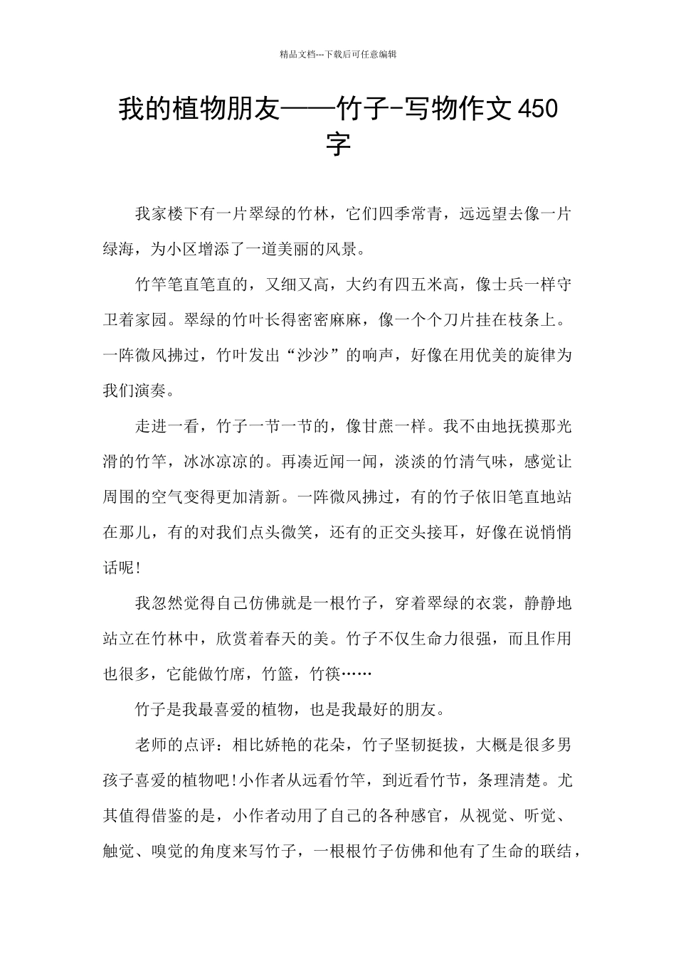 我的植物朋友——竹子_第1页