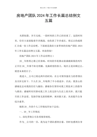 房地产团队2024年工作长篇总结例文五篇
