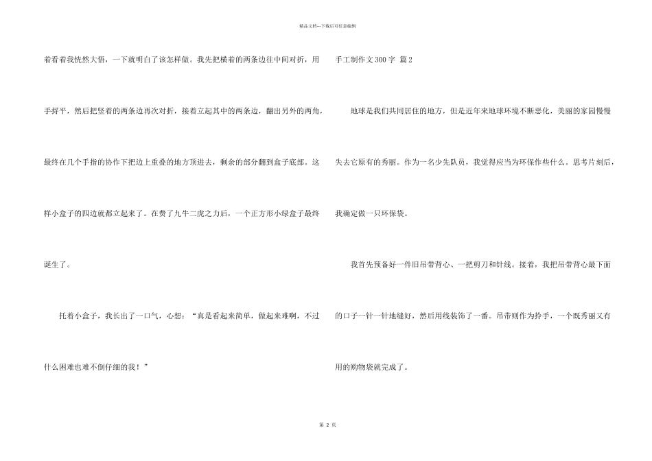 手工制300字集合七篇_第2页