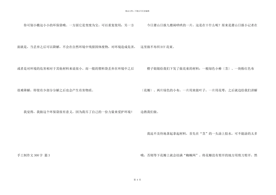 手工制300字集合七篇_第3页