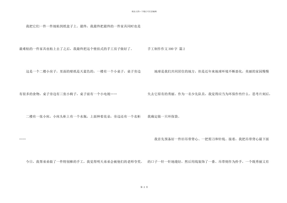 手工制作300字十篇_第2页