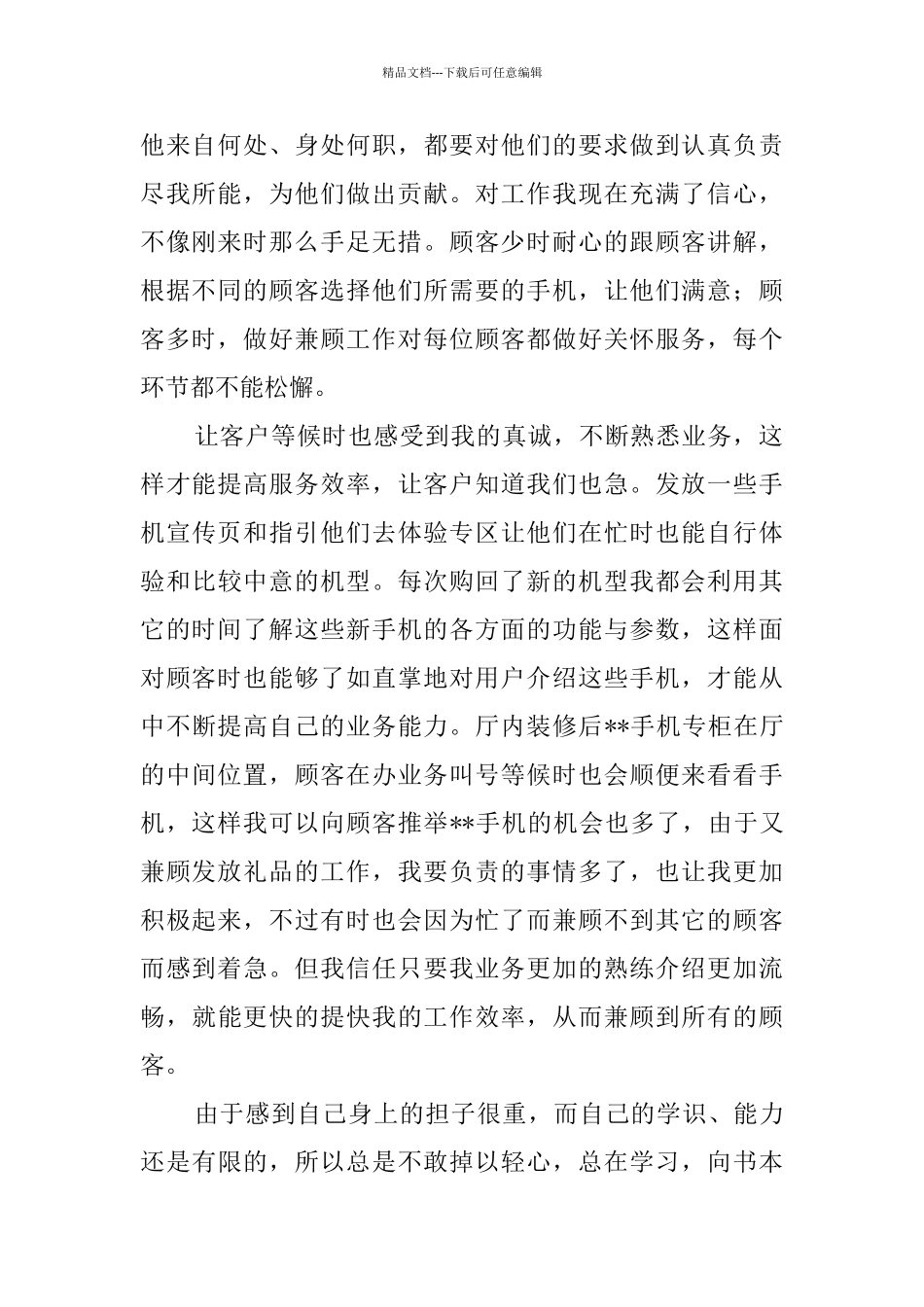 手机销售个人年终工作总结模板_第2页