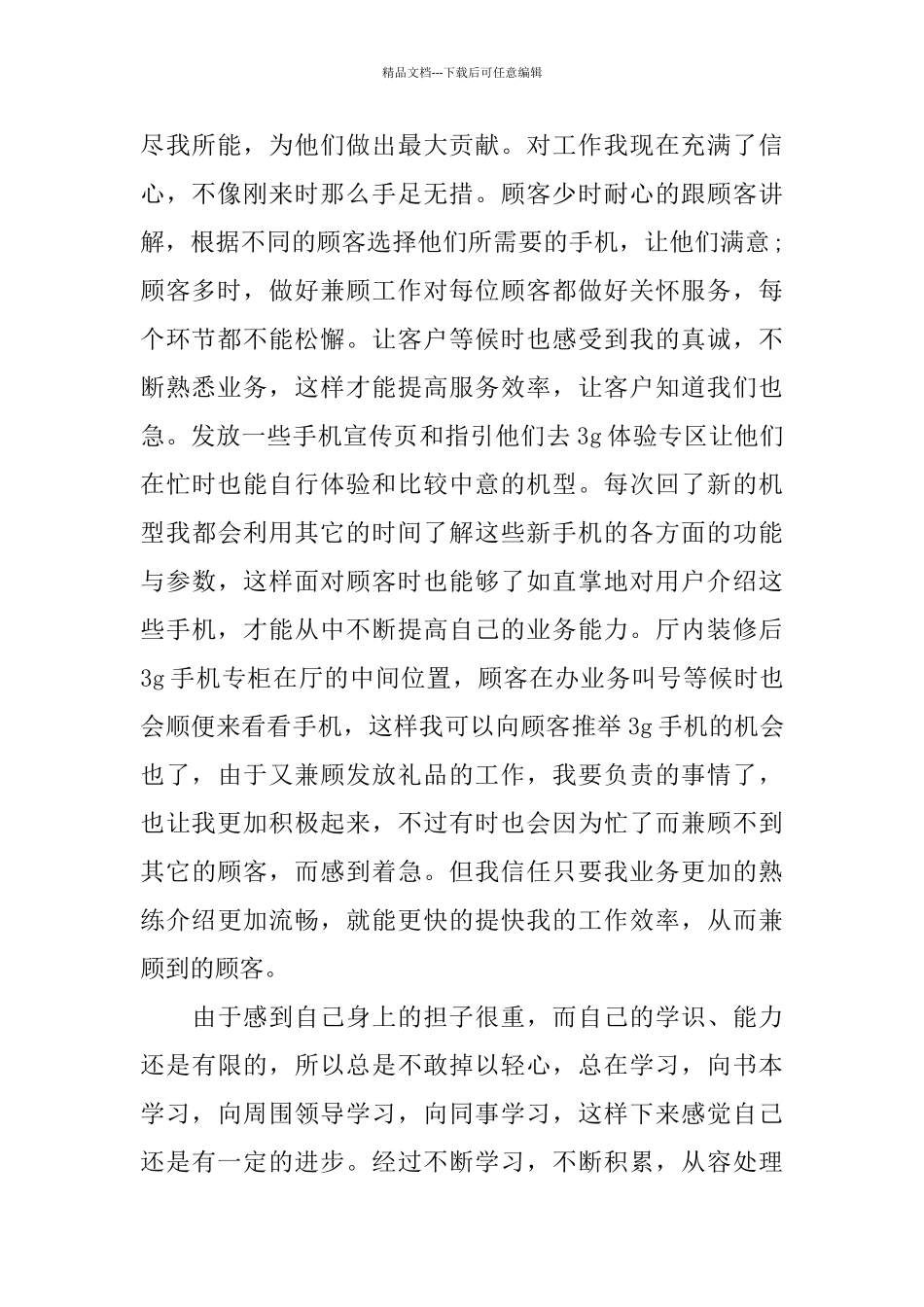 手机销售人员工作总结_第2页