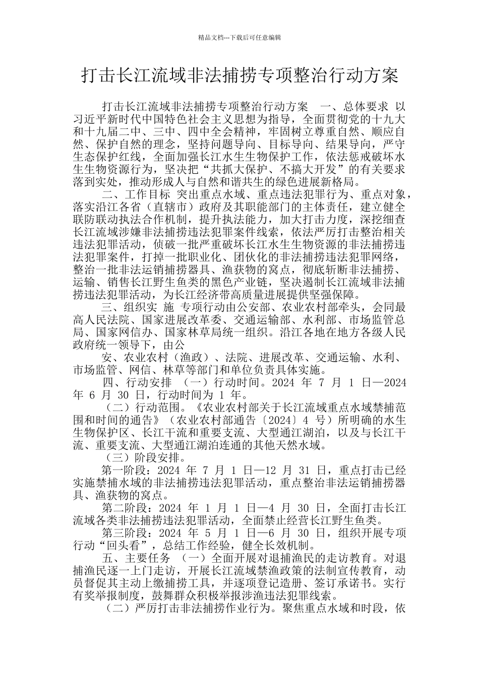 打击长江流域非法捕捞专项整治行动方案_第1页