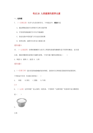 2025年中考化学真题分类汇编考点人类重要的营养元素含答案