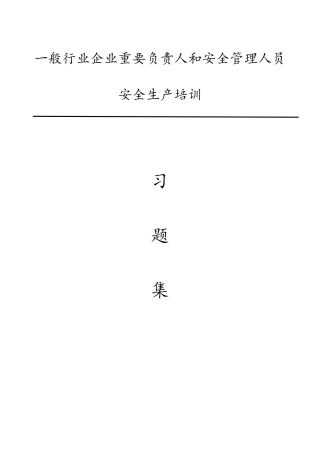2025年主要负责人安全考试试题库完整