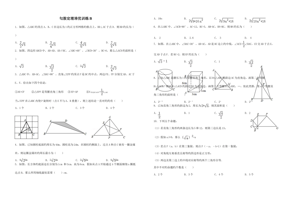 2025年勾股定理竞赛试题_第1页