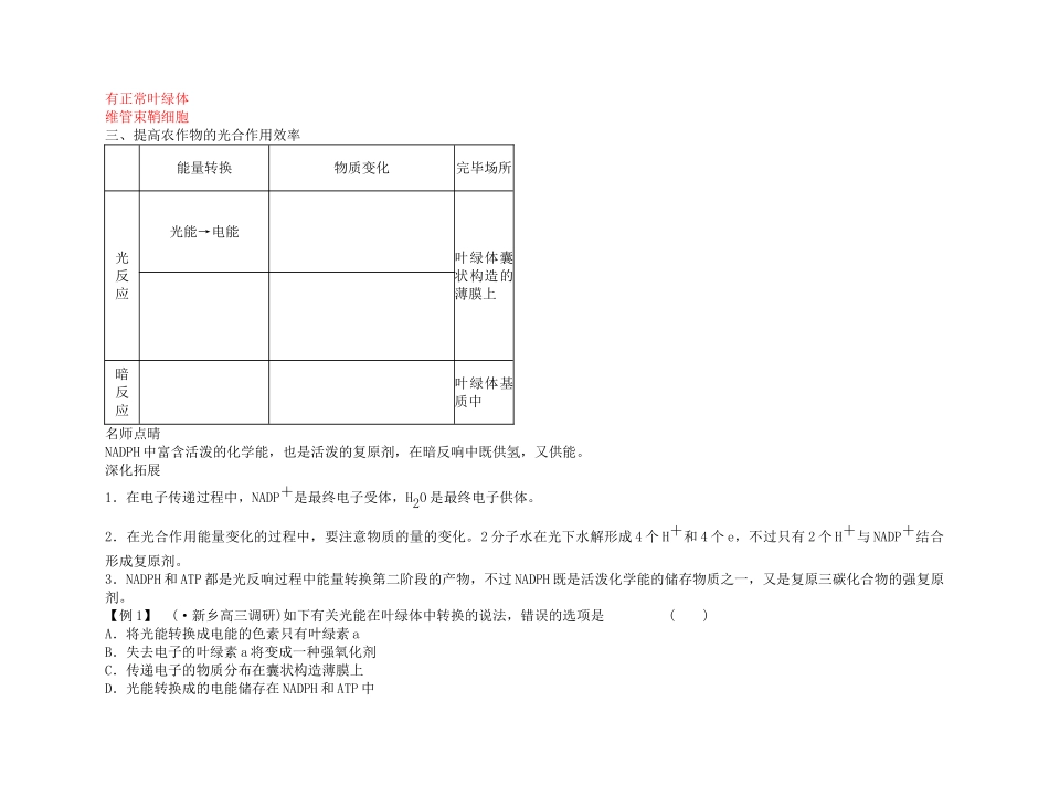 2025年备考高考生物高效学习方案考点专项23C3植物和C4植物新人教版_第2页