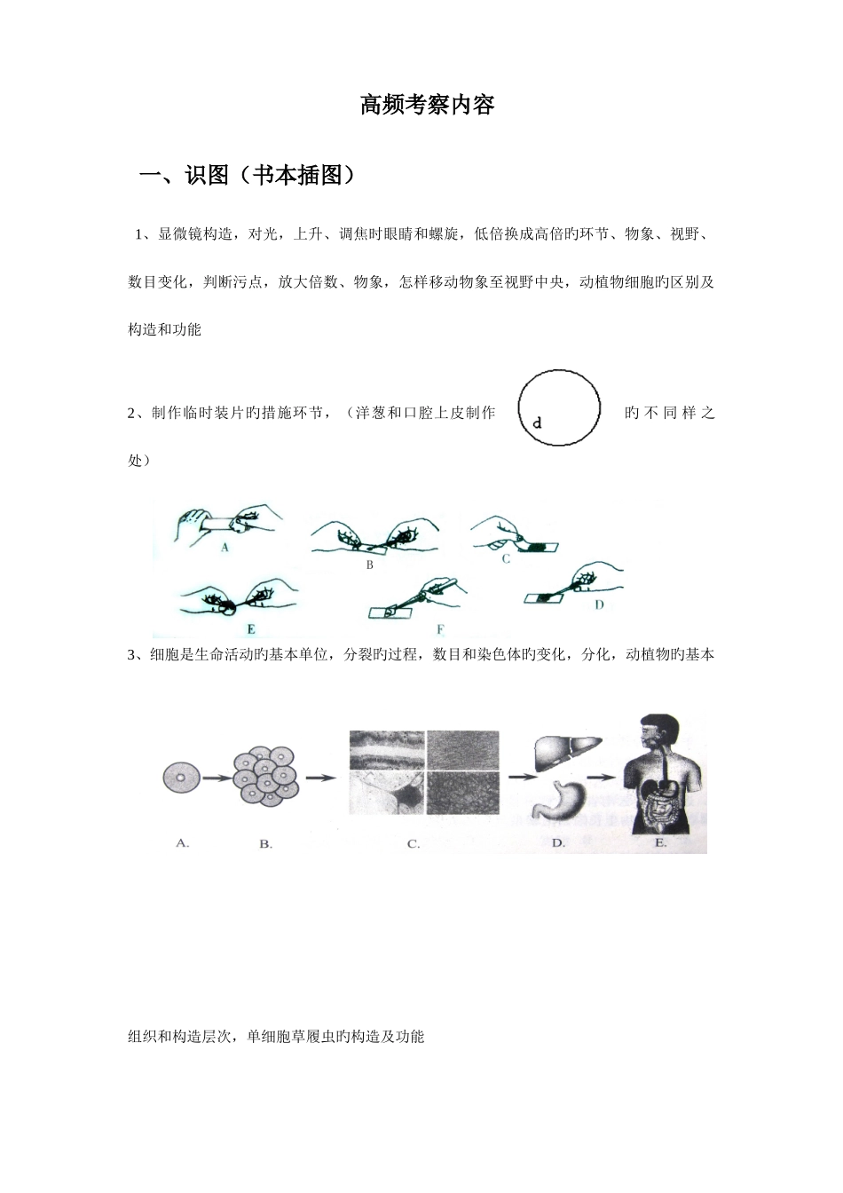 2025年中考生物高频考点结构图知识点_第1页
