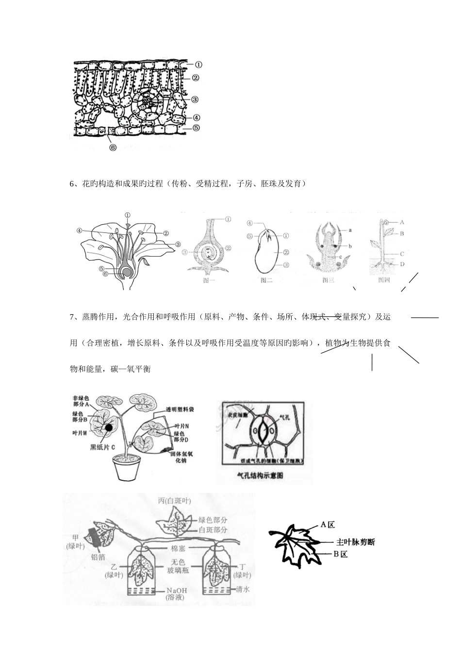 2025年中考生物高频考点结构图知识点_第3页