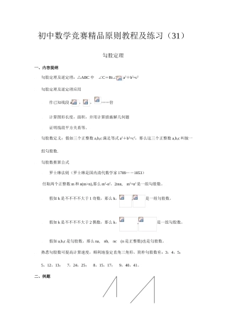 2025年初中数学竞赛标准教程及练习勾股定理