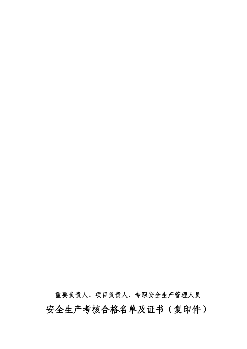 2025年安全生产管理人员考核表类别ABC水利部_第1页