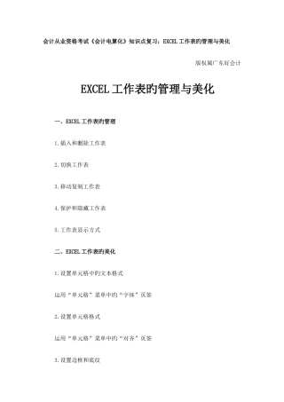 2025年会计从业资格考试会计电算化复习资料