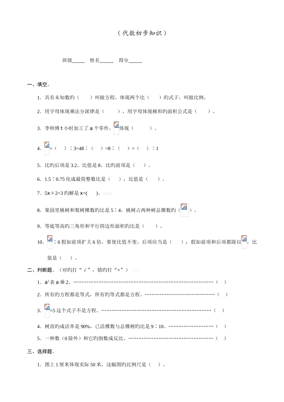 2025年六年级小升初数学专项练习代数初步知识_第1页