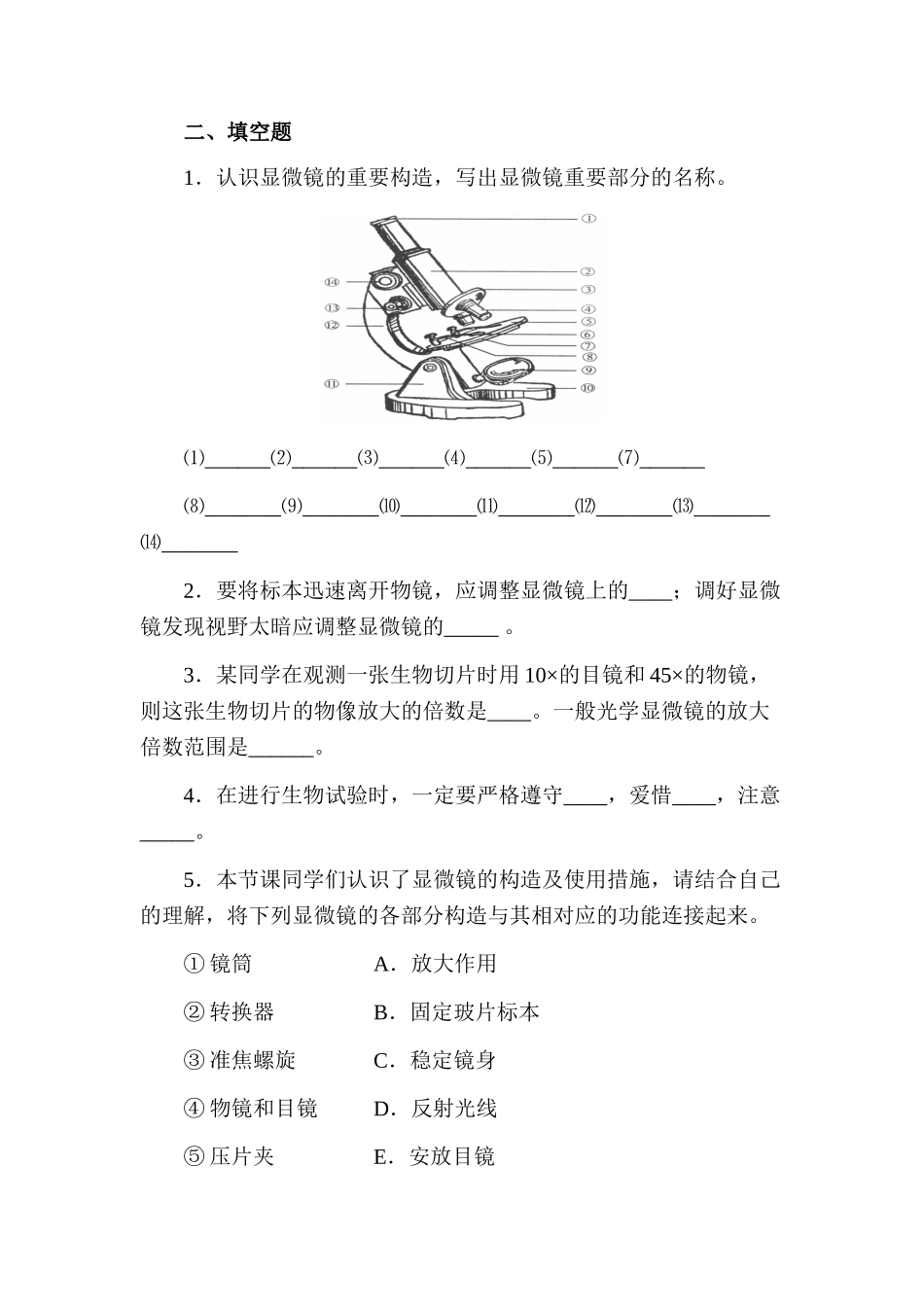 2025年七年级生物上册知识点同步练习题_第2页