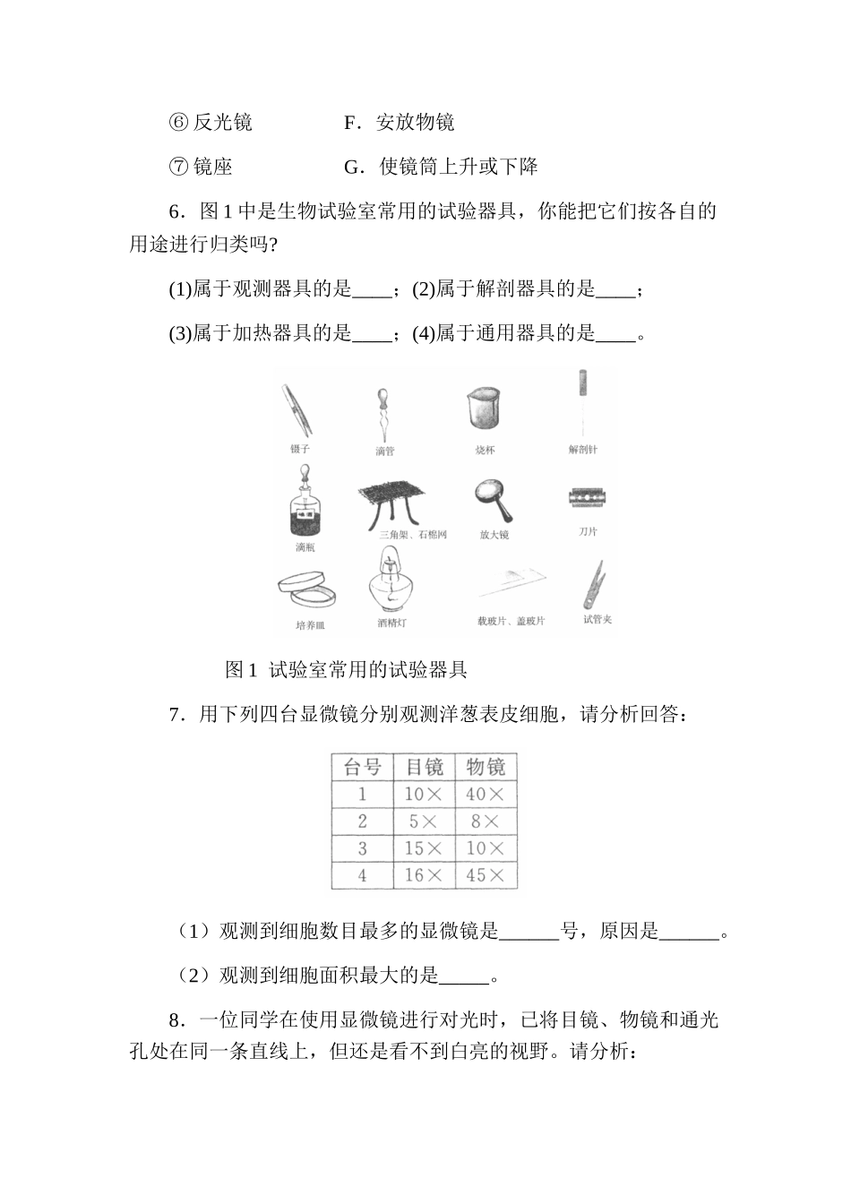 2025年七年级生物上册知识点同步练习题_第3页