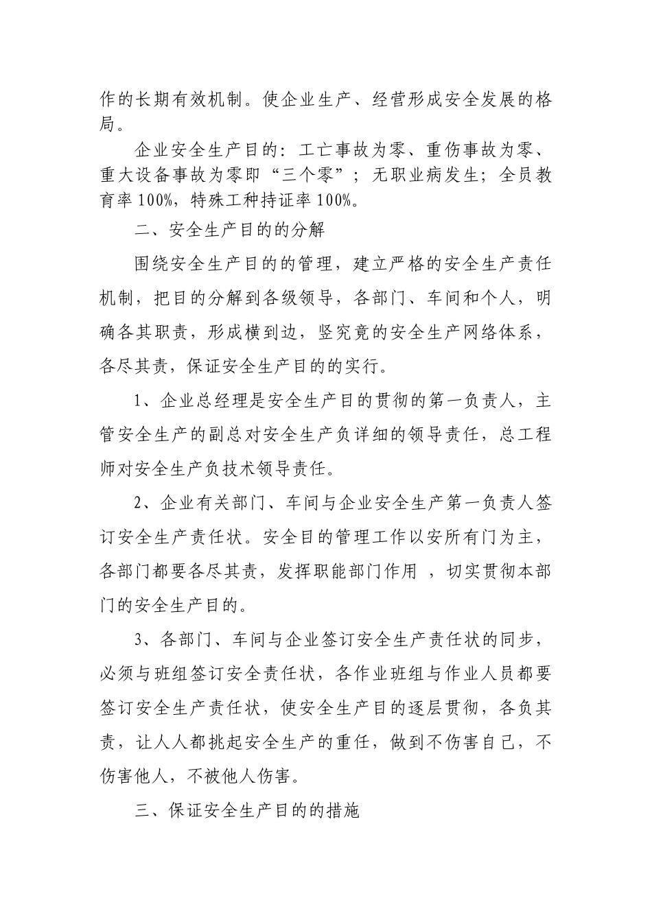 2025年安全生产标准化管理手册全套_第3页