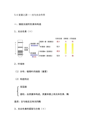 2025年能量之源光与光合作用知识点