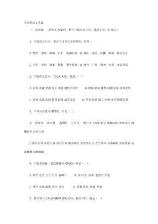 2025年语文小升初语文考试