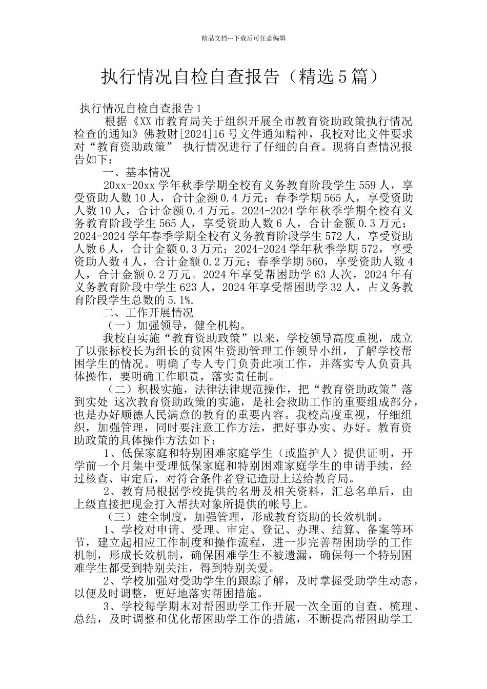 执行情况自检自查报告_第1页