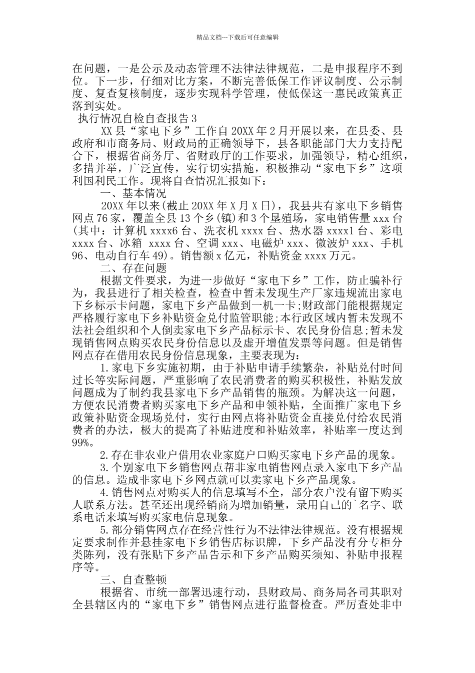 执行情况自检自查报告_第3页