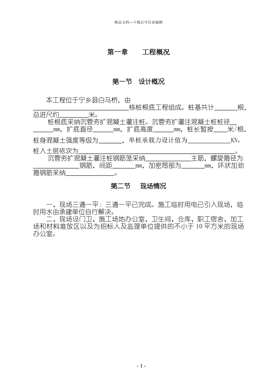 扩桩施工组织设计_第1页