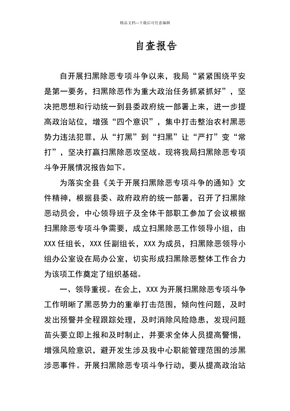 扫黑除恶专项斗争工作自查报告_第1页