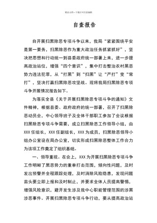 扫黑除恶专项斗争工作自查报告