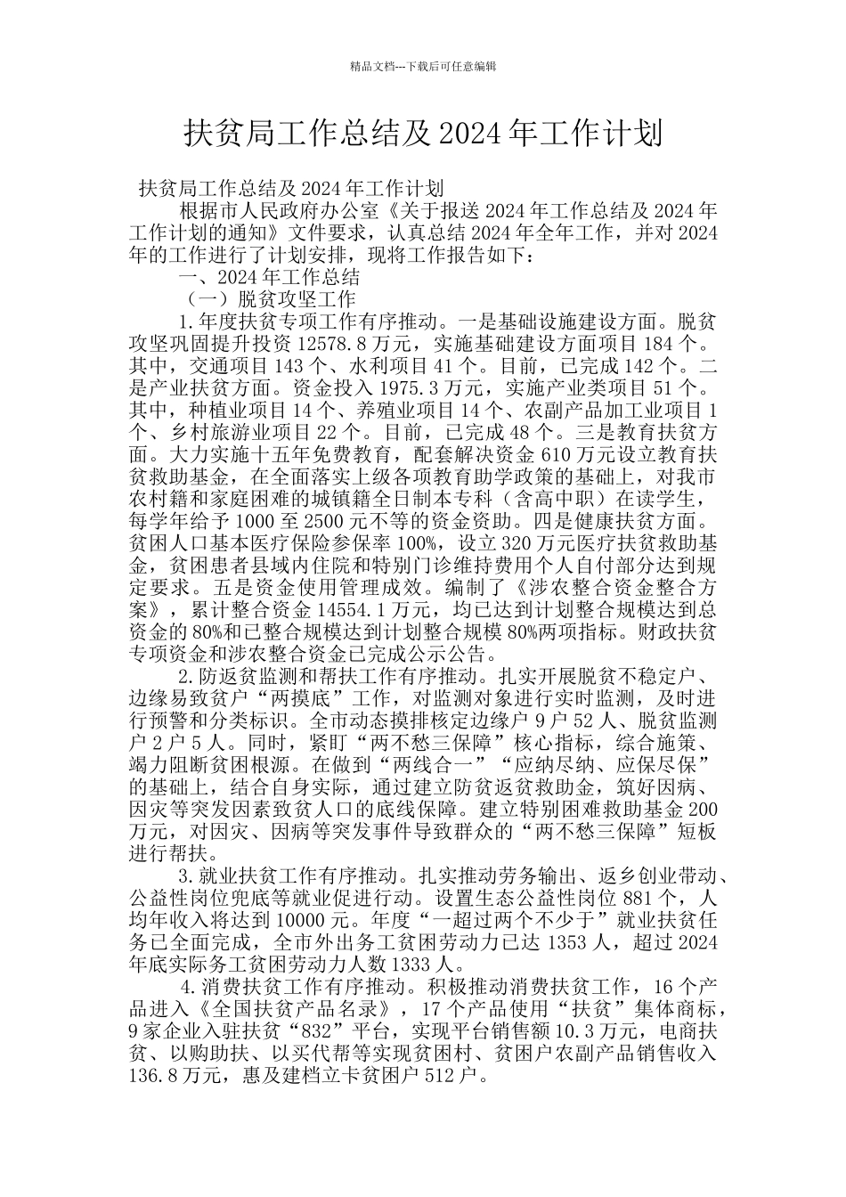扶贫局工作总结及2024年工作计划_第1页