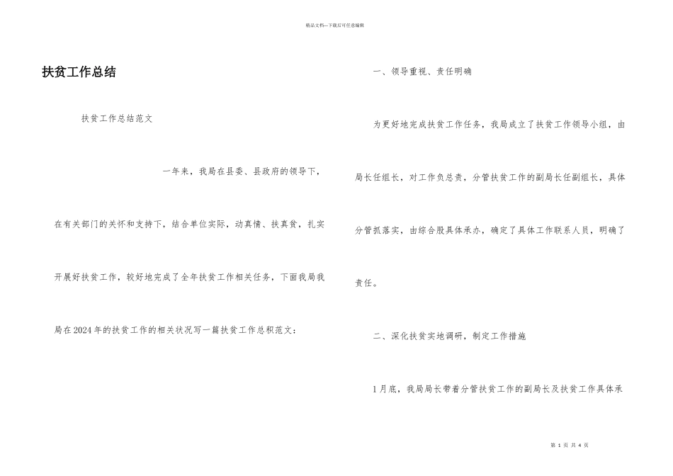 扶贫工作总结_第1页