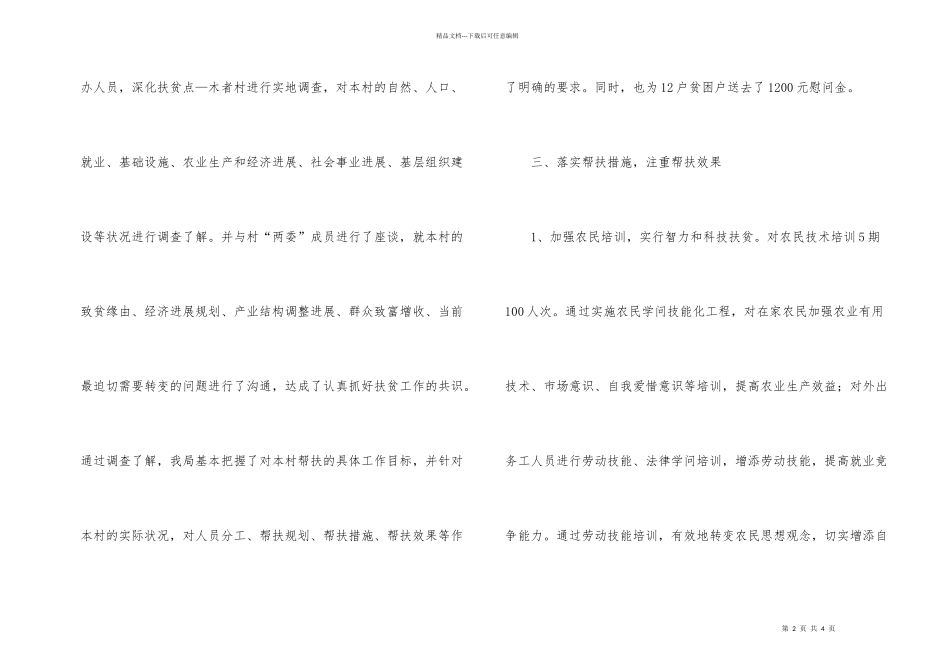 扶贫工作总结_第2页