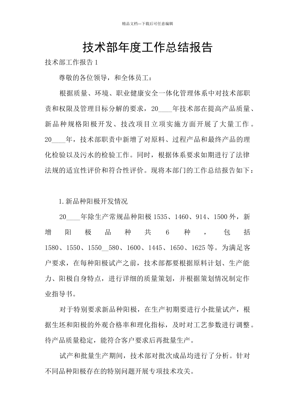 技术部年度工作总结报告_第1页