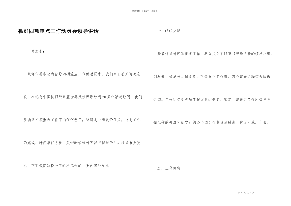 抓好四项重点工作动员会领导讲话_第1页