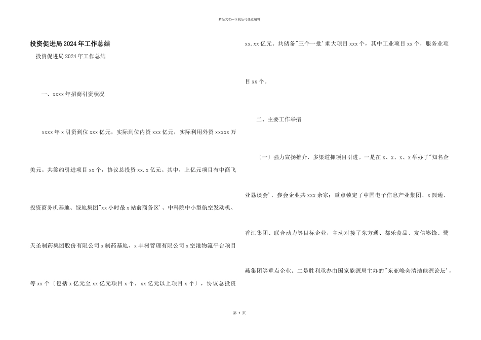 投资促进局2024年工作总结_第1页