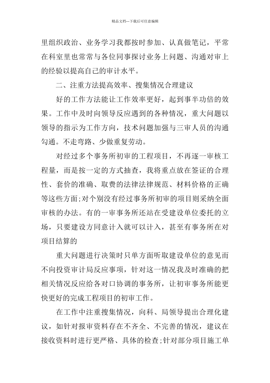 投资审计个人工作总结范文_第2页