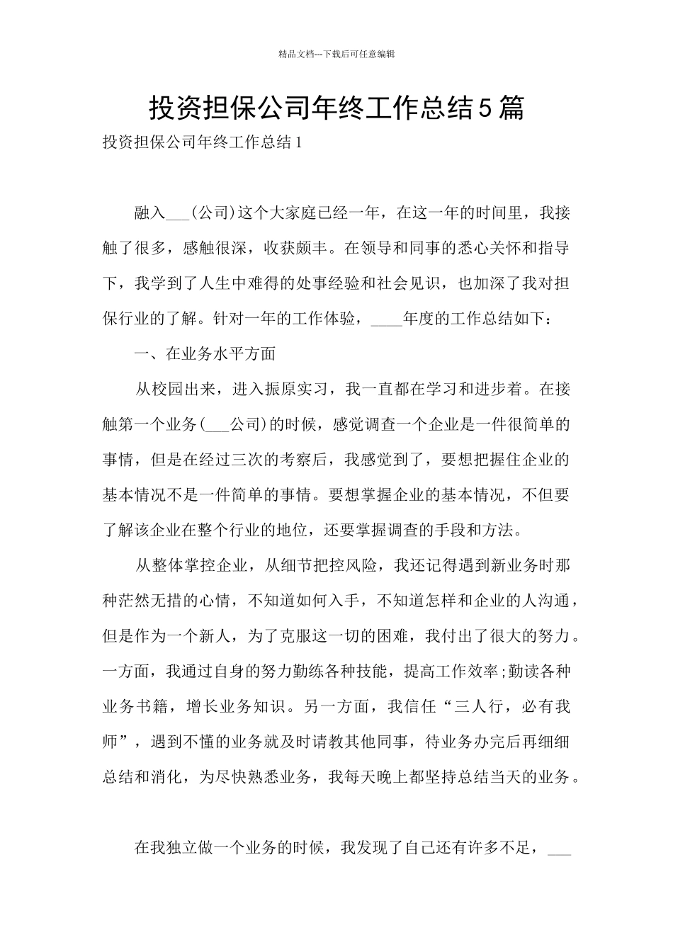 投资担保公司年终工作总结5篇_第1页