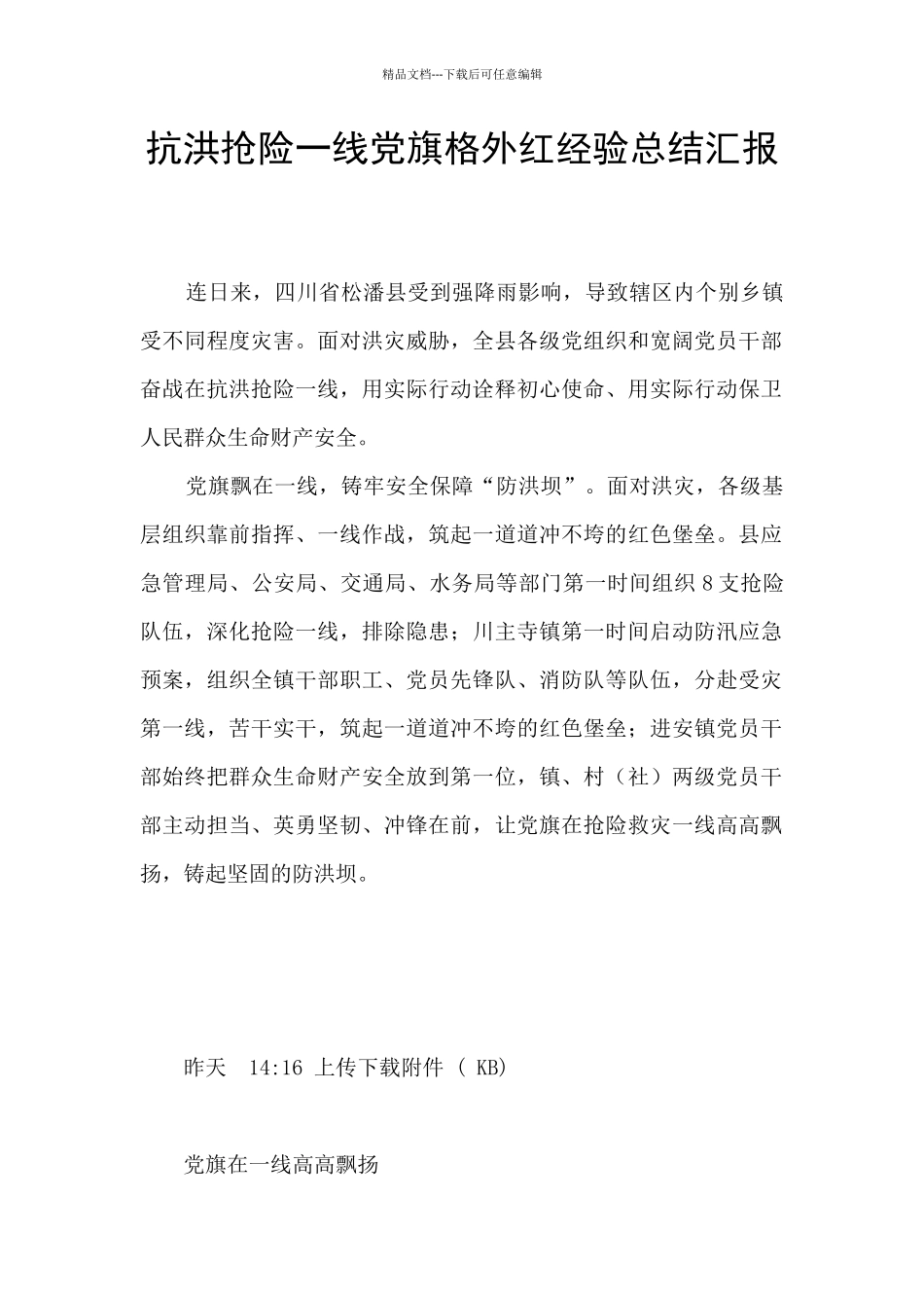 抗洪抢险一线党旗分外红经验总结汇报_第1页