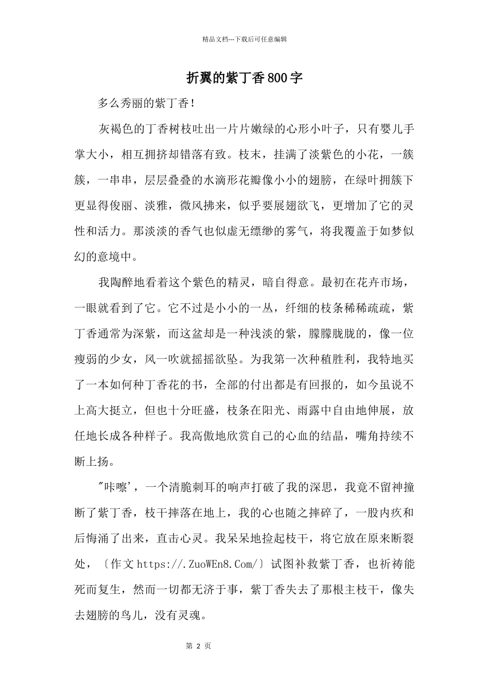 折翼的紫丁香800字_第1页