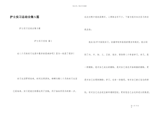 护士实习总结合集5篇