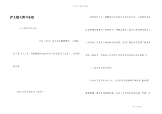 护士组长实习总结