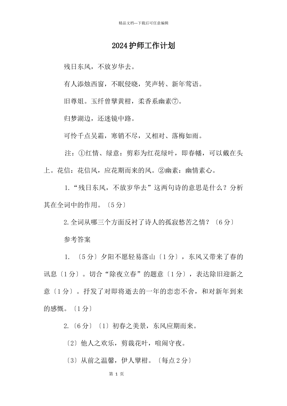 护师工作计划_第1页